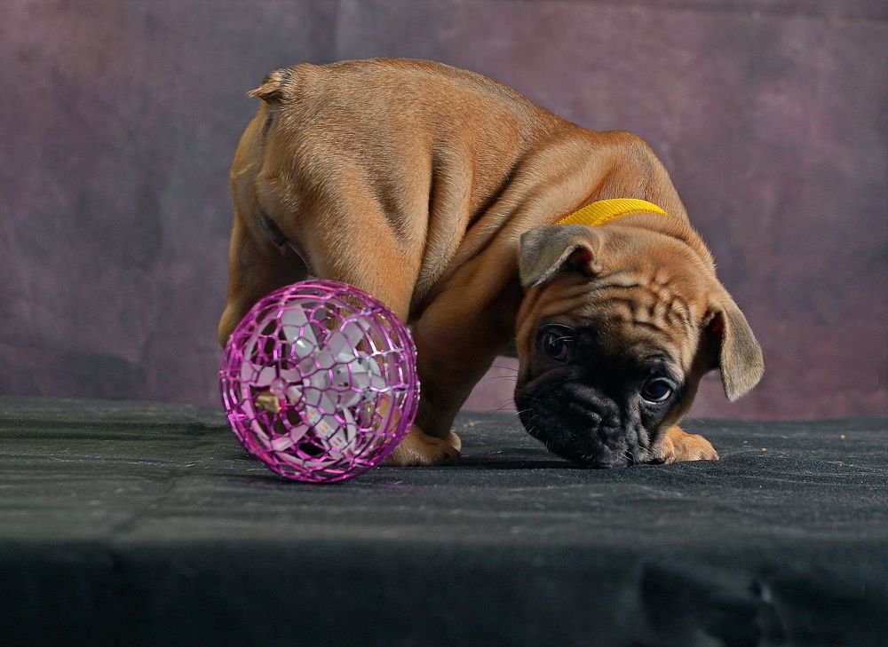 Фотография автора Владимир Куликов