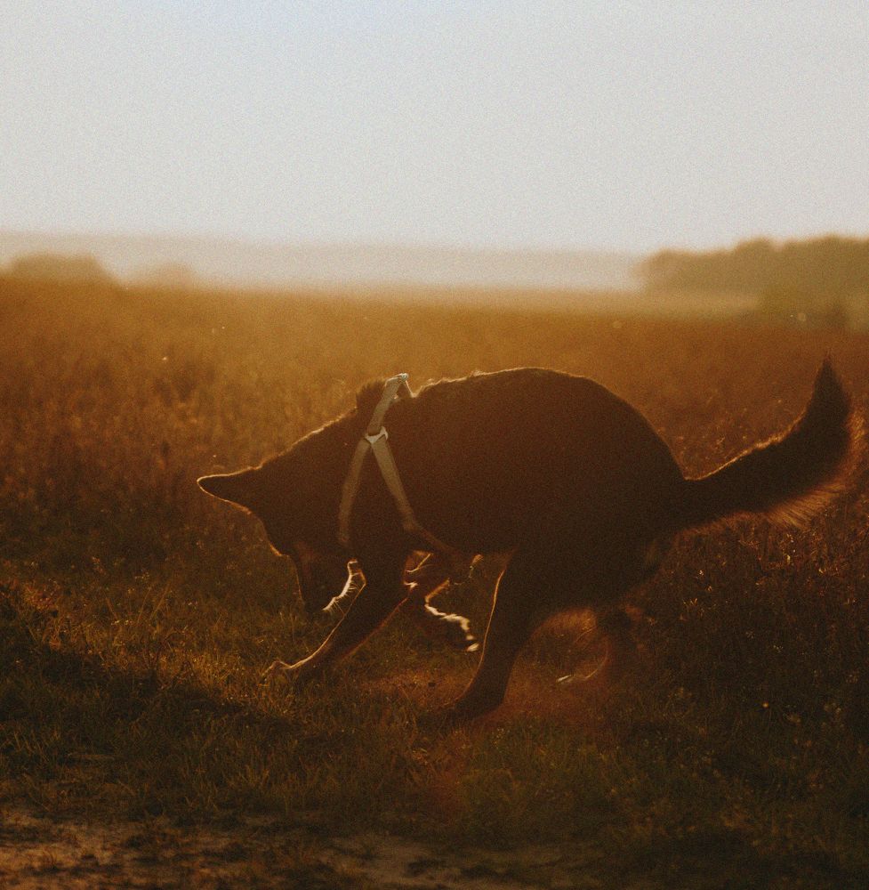 Photograph by Дарья Мицкевич