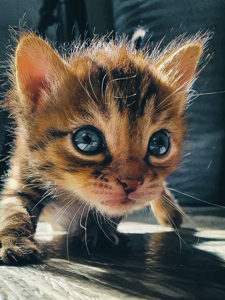 Photograph by Светлана Нестерова