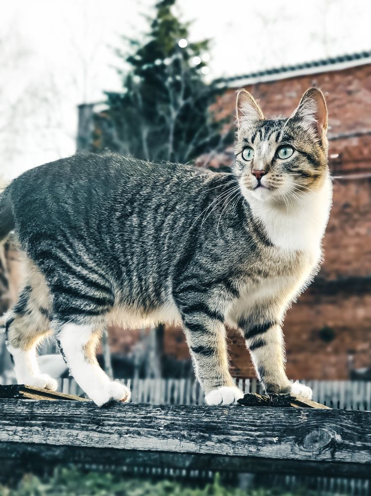 Photograph by Светлана Нестерова