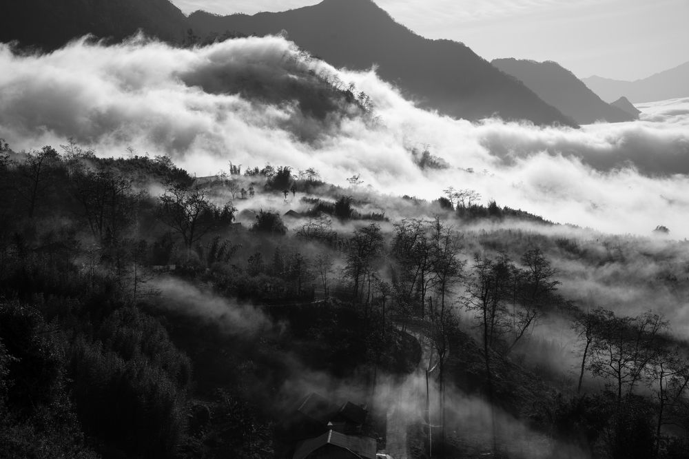 Photograph by MT-nguyen