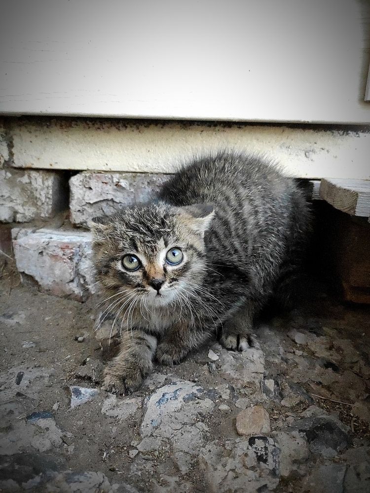 Photograph by Sofya Софья Налобина