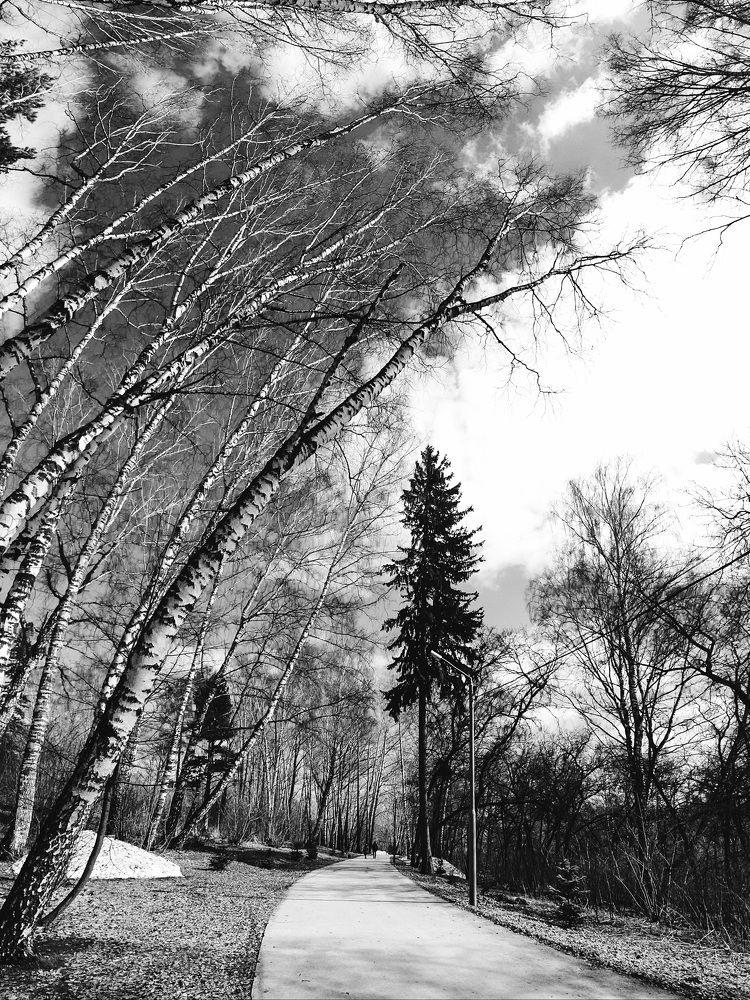 Photograph by Светлана Нестерова