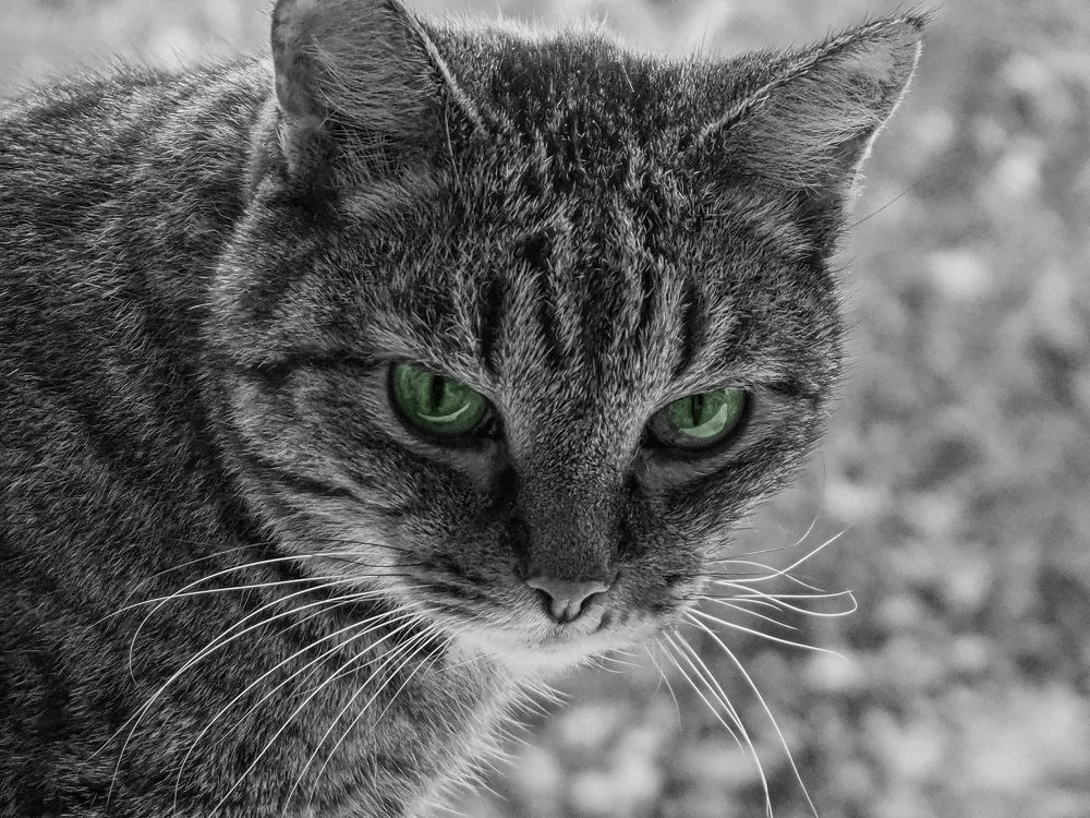 Photograph by Евгений Фазлеев