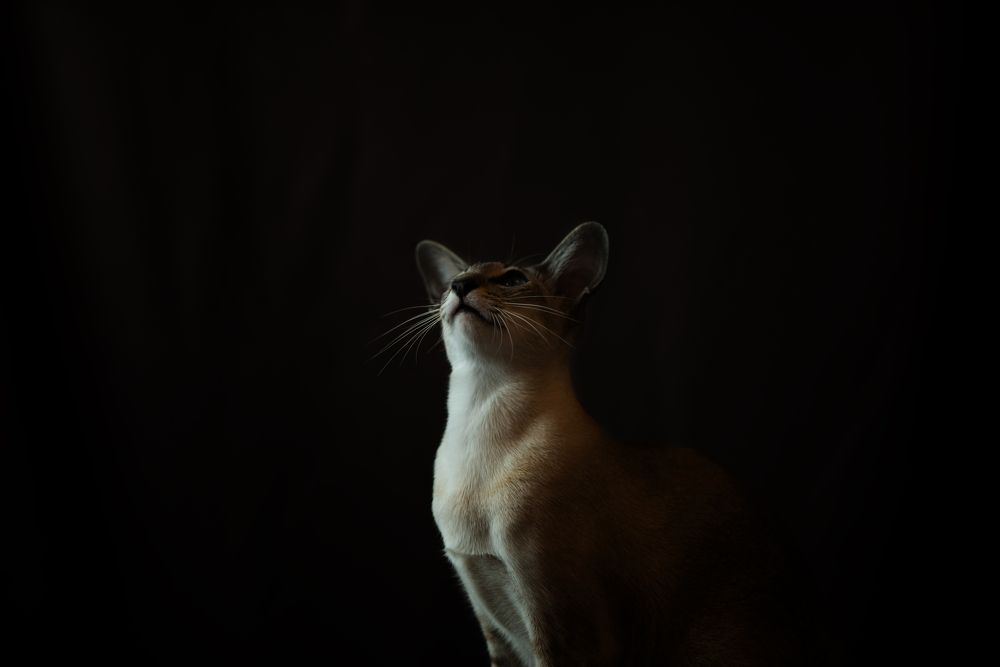 Photograph by Наталья Цуканова