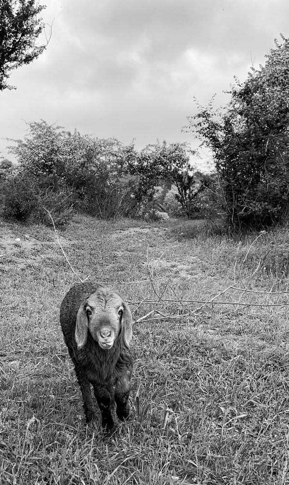 Photograph by Екатерина Герасимова