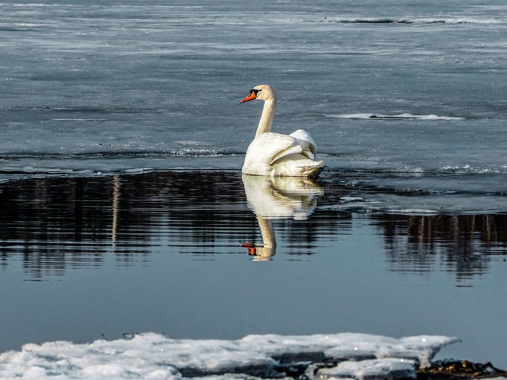 Photograph by Евгений Фазлеев