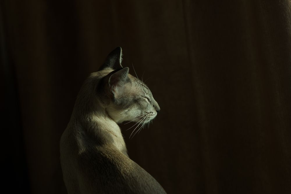 Photograph by Наталья Цуканова