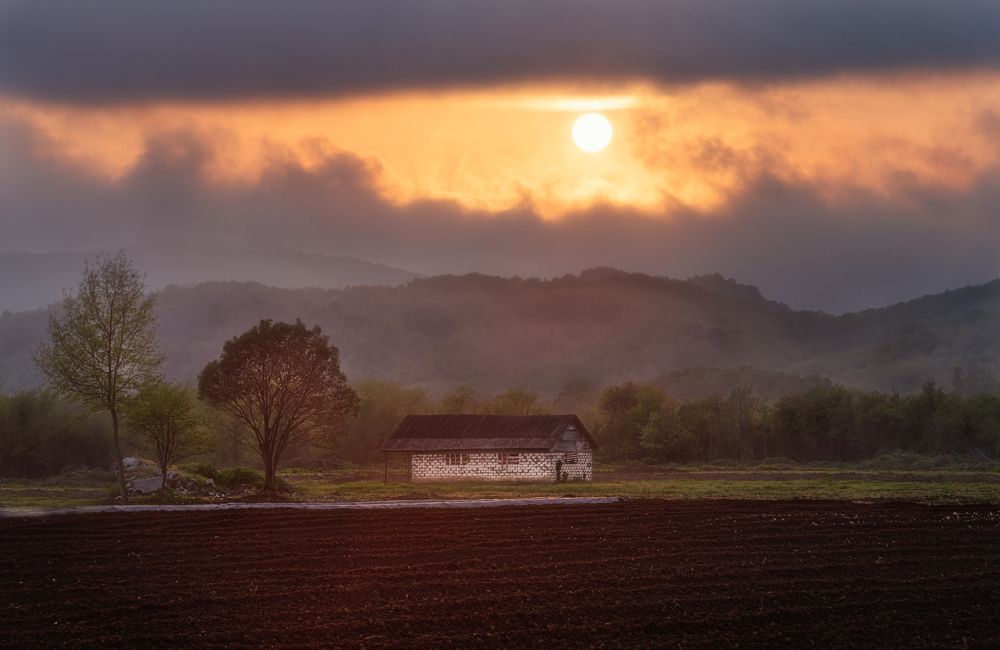 Photograph by Helen Vasilieva