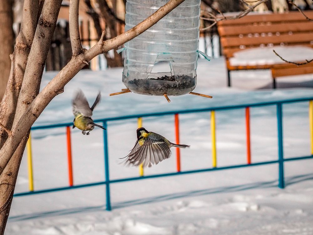 Photograph by Евгений Фазлеев