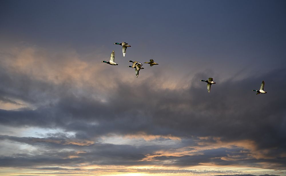 Photograph by Валентин Казанцев