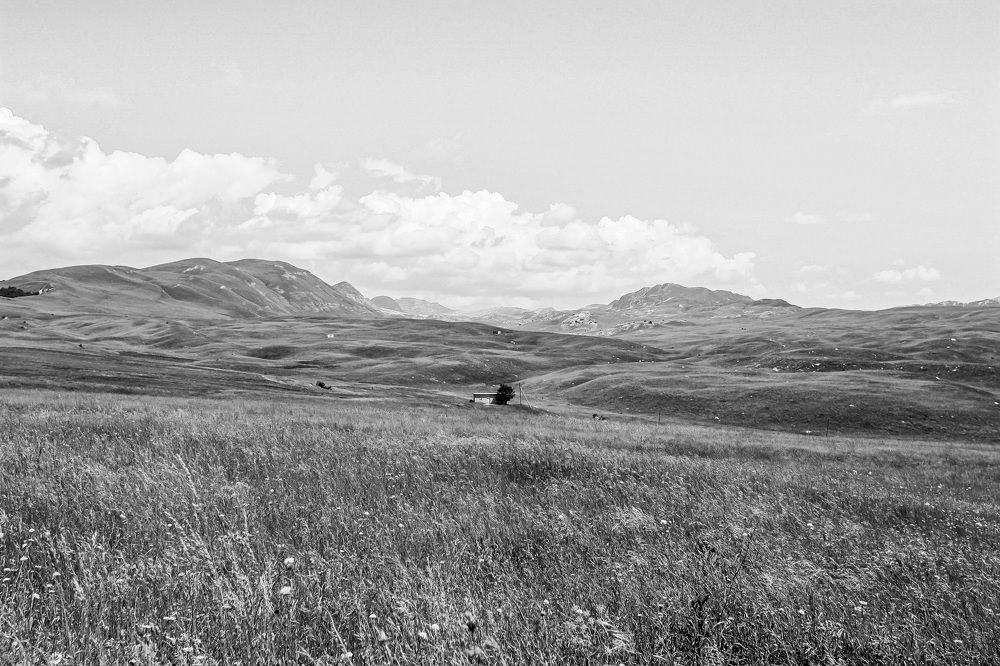 Photograph by Екатерина Нефедова