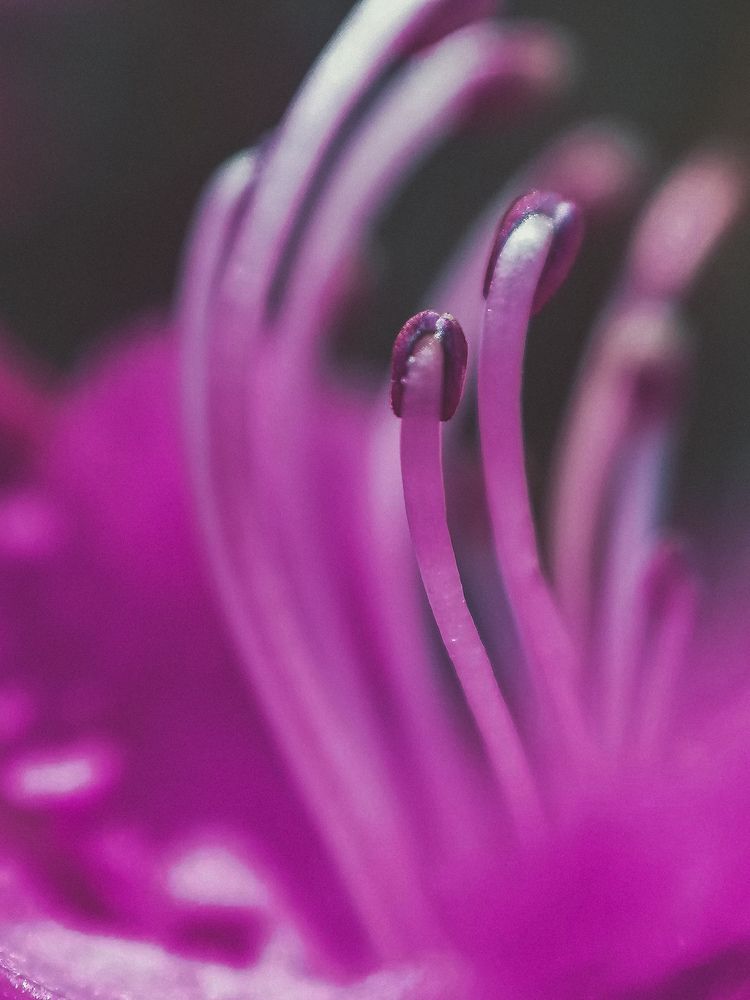 Photograph by Елизавета Польшина