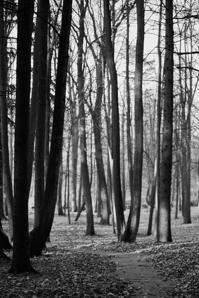 Фотография автора Вагуро Евгений