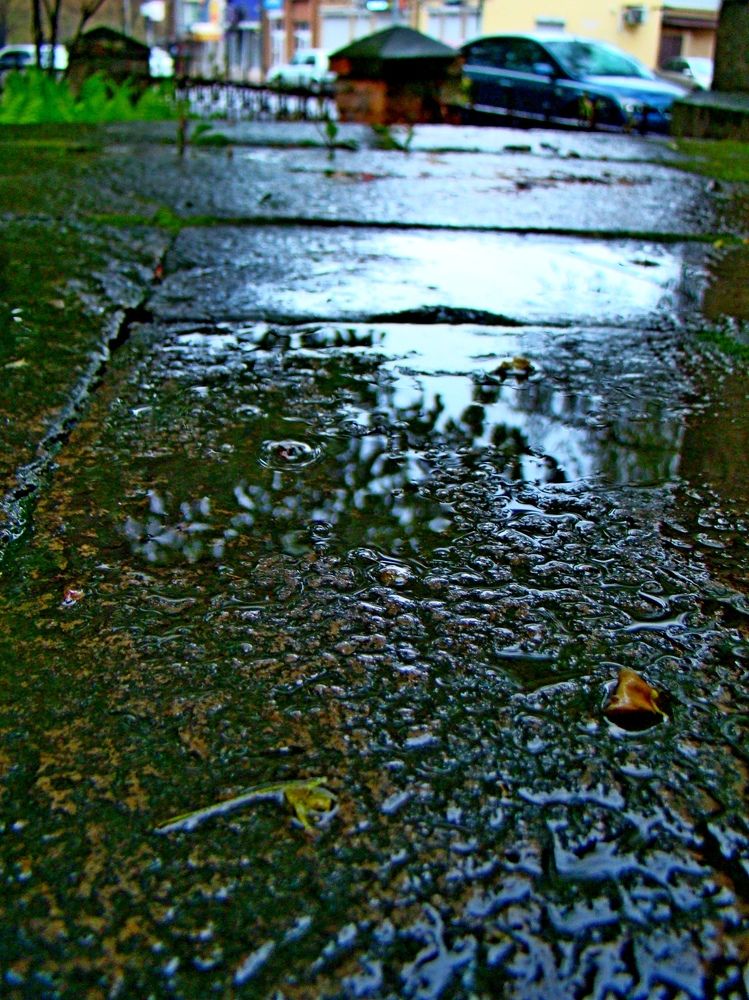 Photograph by Евгений Бригиневич - Снежин