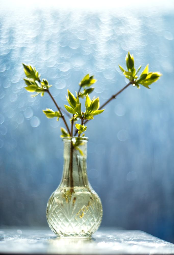 Photograph by Ксения Базарова