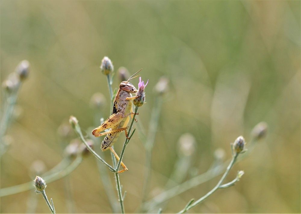 Photograph by Татьяна Колногоров