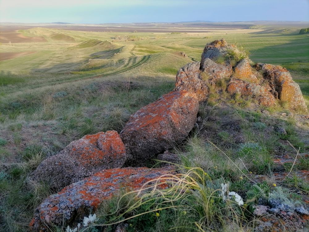 Photograph by Алексей Курочкин