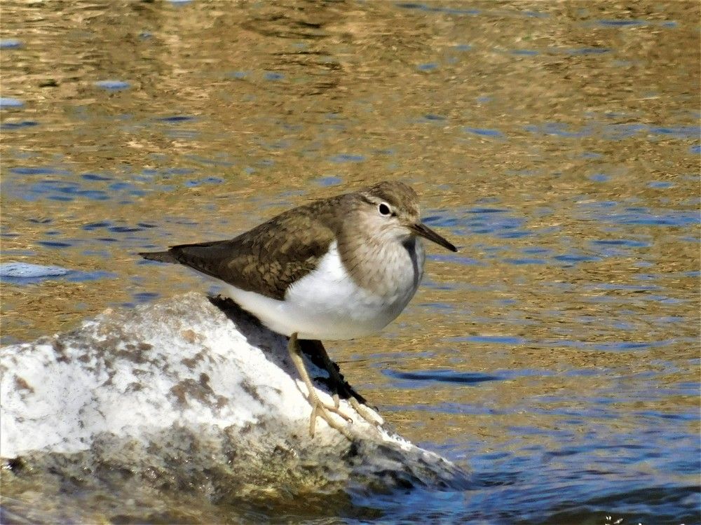 Photograph by Чкареули Светлана