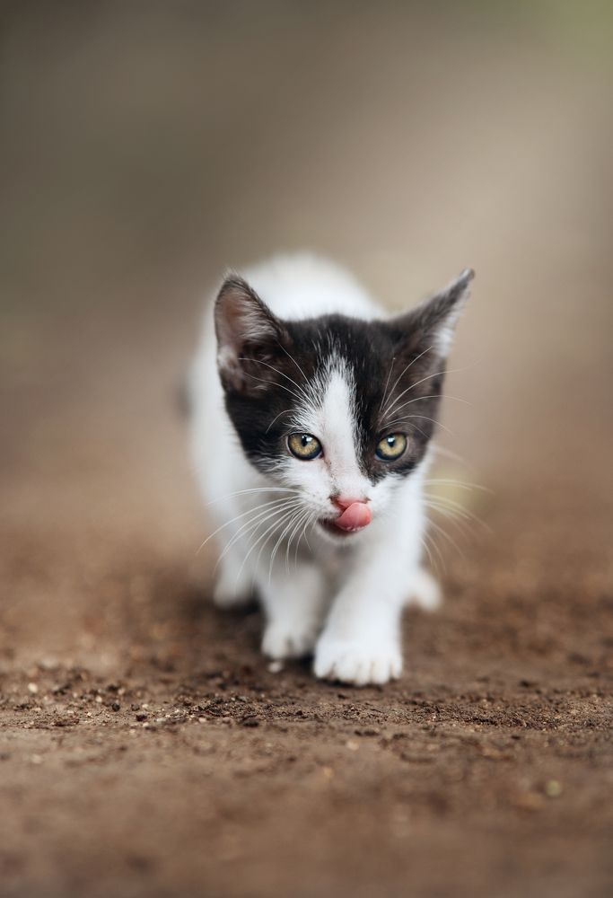 Фотография автора Mario Antonio Cuadra