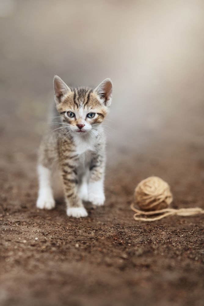 Фотография автора Mario Antonio Cuadra