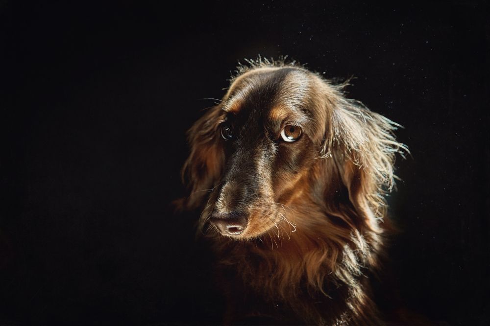 Photograph by Дарья Базарнова