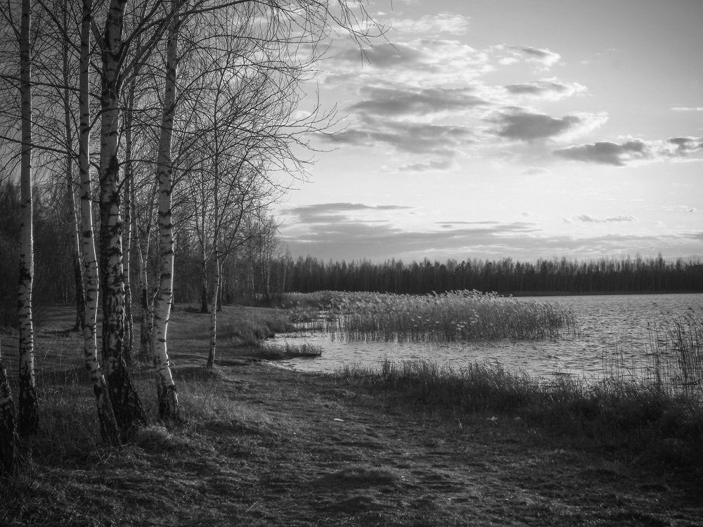 Photograph by Диана Бородзе