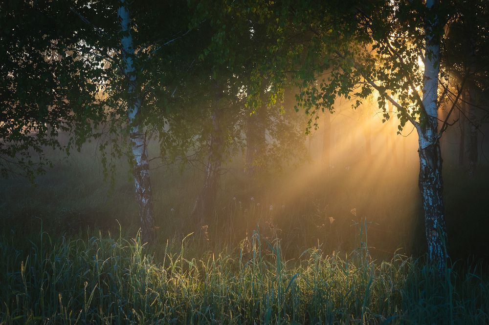 Майским утром