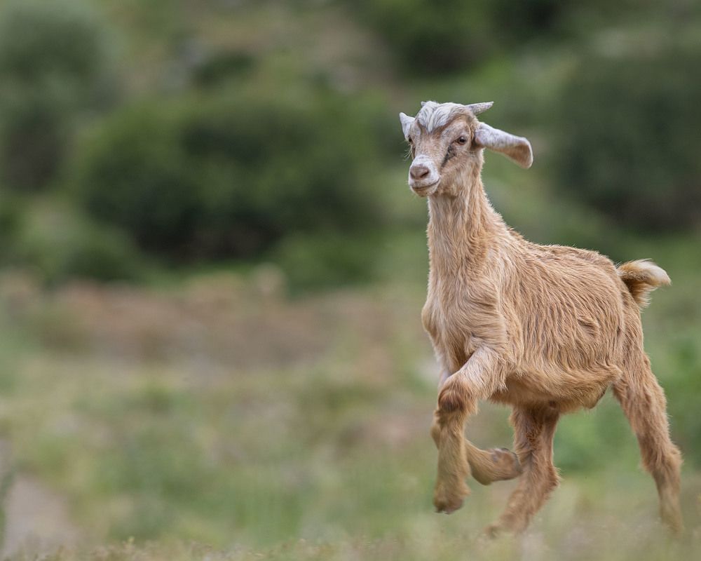 Фотография автора Mehdi EL Baqali