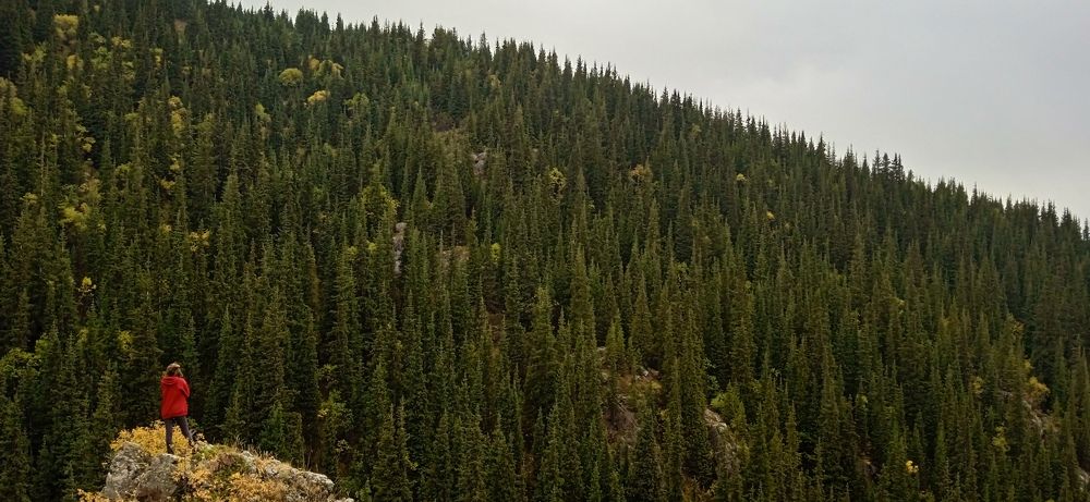 Photo #7543892