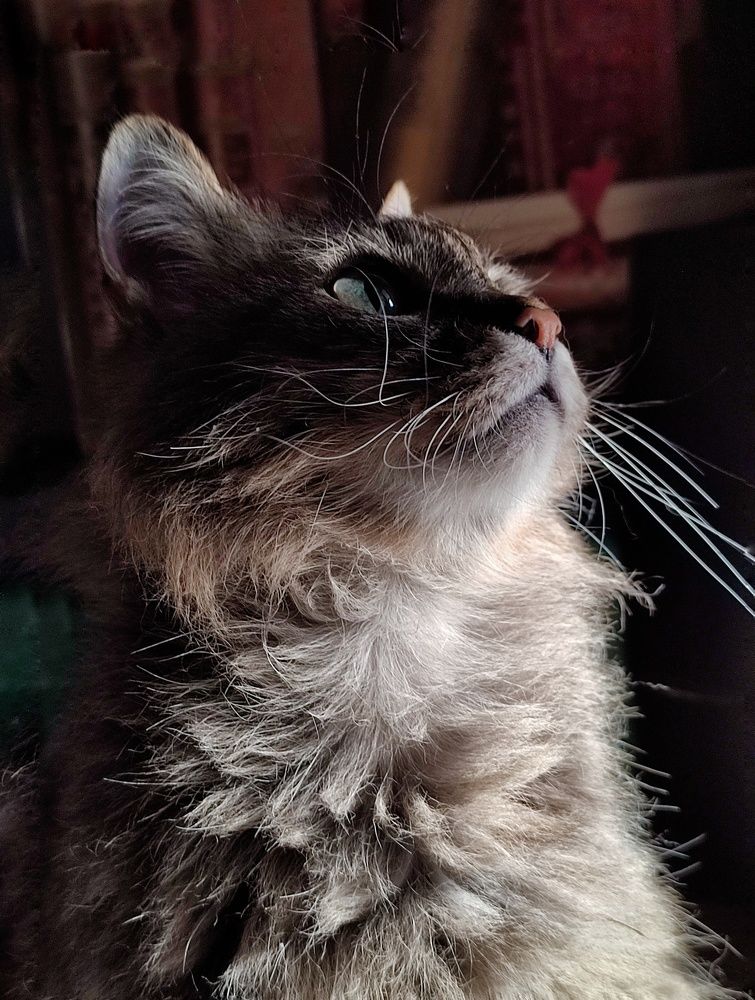 Photograph by Оксана Шевченко