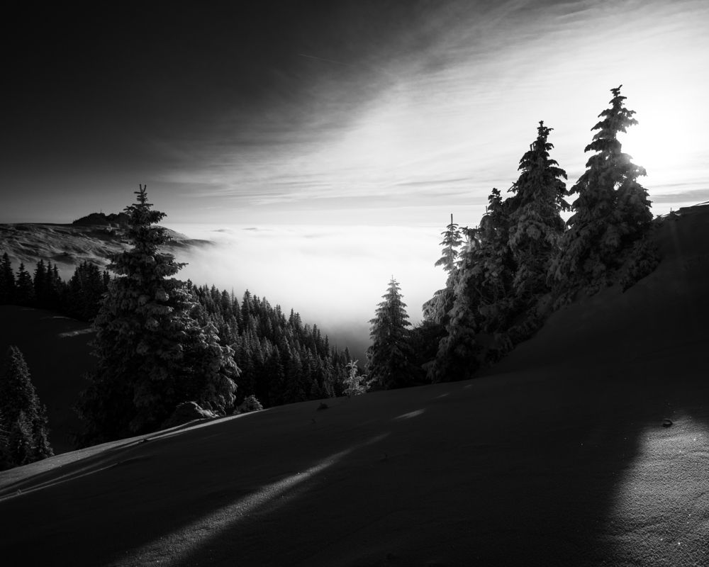 Photograph by Alexandru Handrache