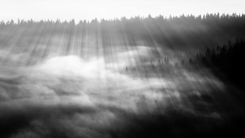 Photograph by Alexandru Handrache