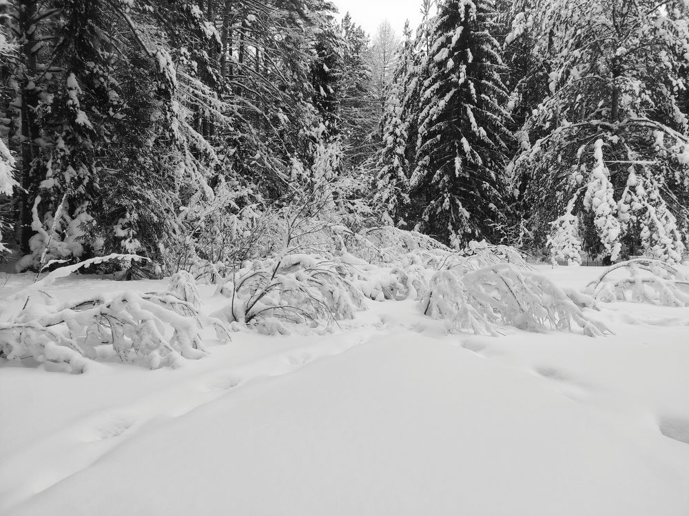 Photograph by Саттарова Ирина