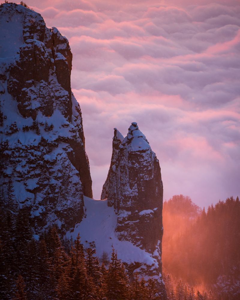 Photograph by Alexandru Handrache