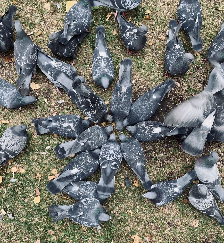 Photograph by Гульнара Шаньгина