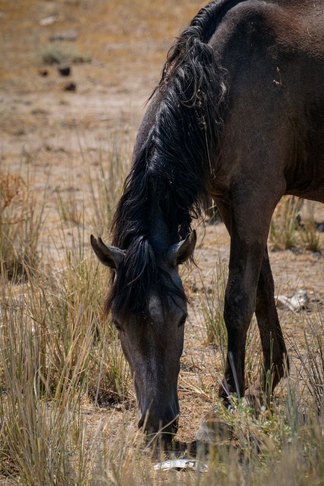 Фотография автора Наталья Яковлева