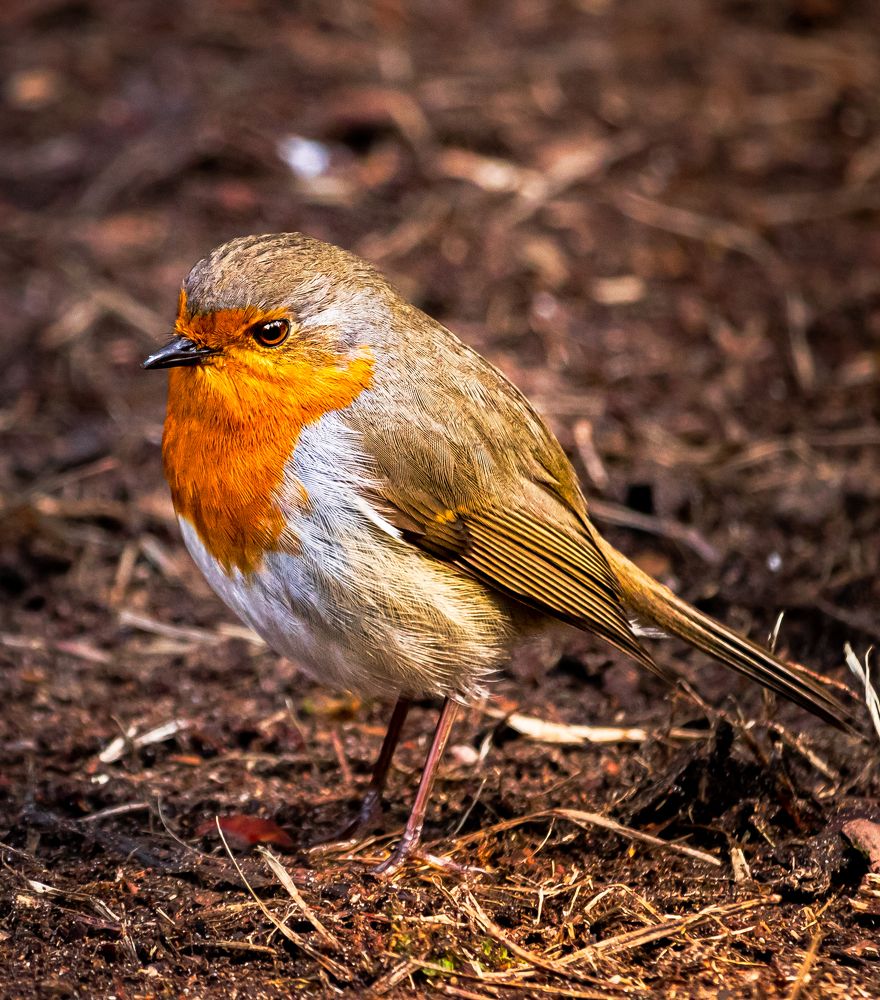 Photograph by Парфентьев Антон