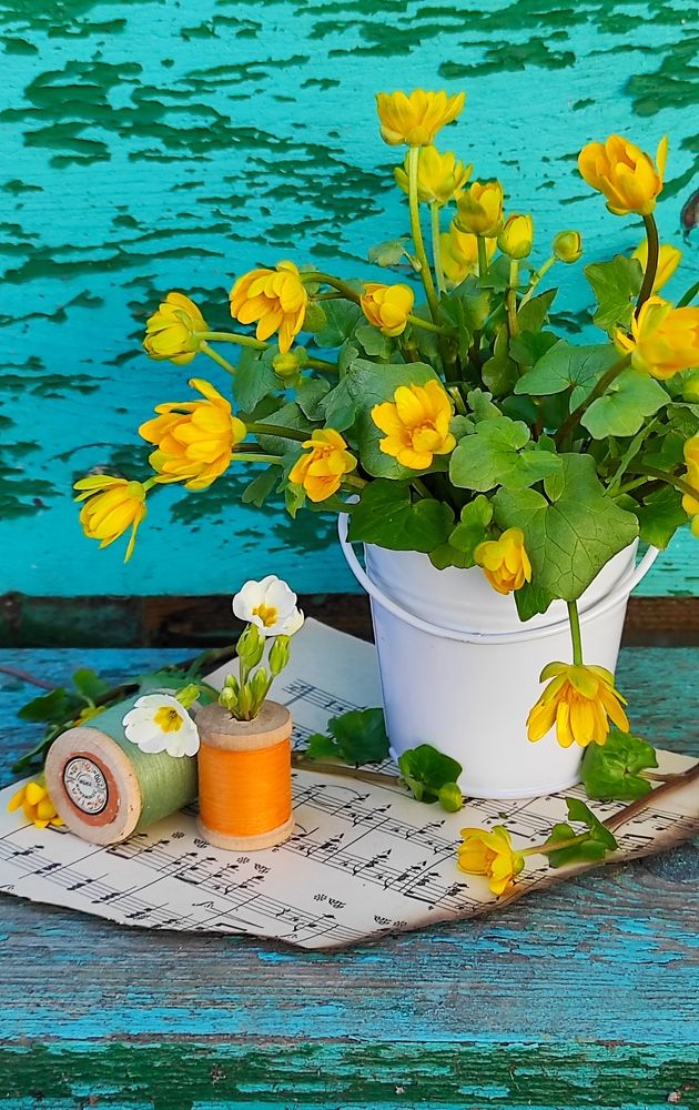 Фотография автора Марина Гусева