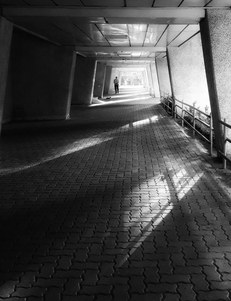 Photograph by Abolfazl Shahmiry