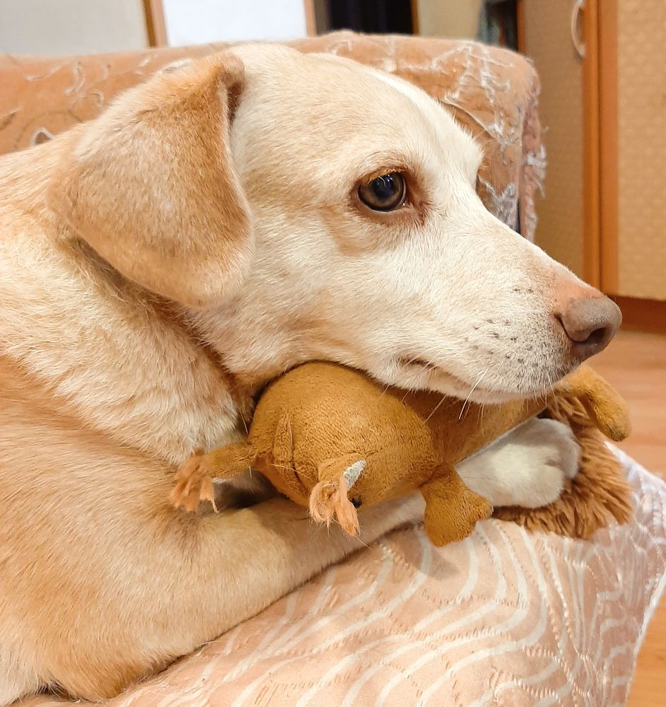 Photograph by Olga Smirnova