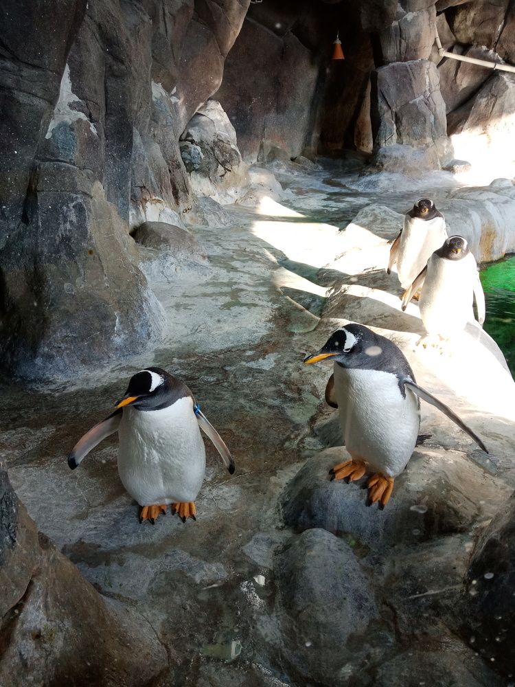 Photograph by Анна Воронова