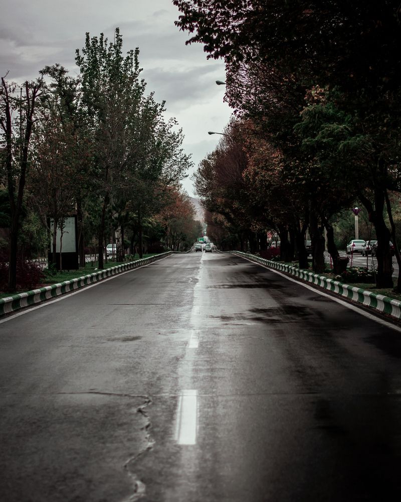 Фотография автора Mohammad Mohammadpour