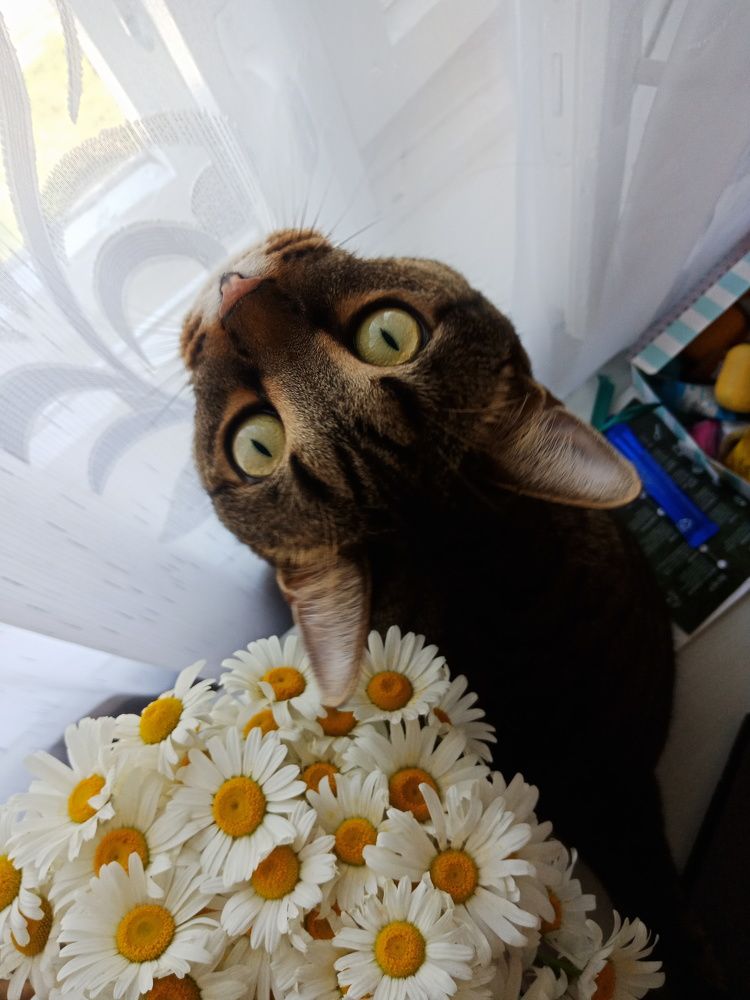 Photograph by Анна Воронова