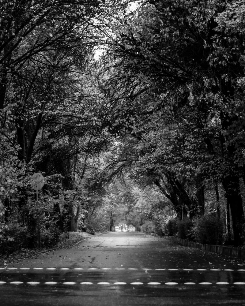 Фотография автора Mohammad Mohammadpour