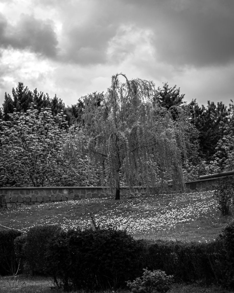 Фотография автора Mohammad Mohammadpour