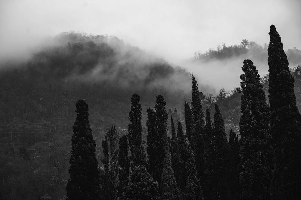 Photograph by Анна Воронова