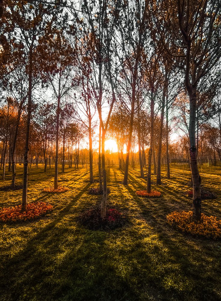 Фотография автора elyas khaghani elyas.ph