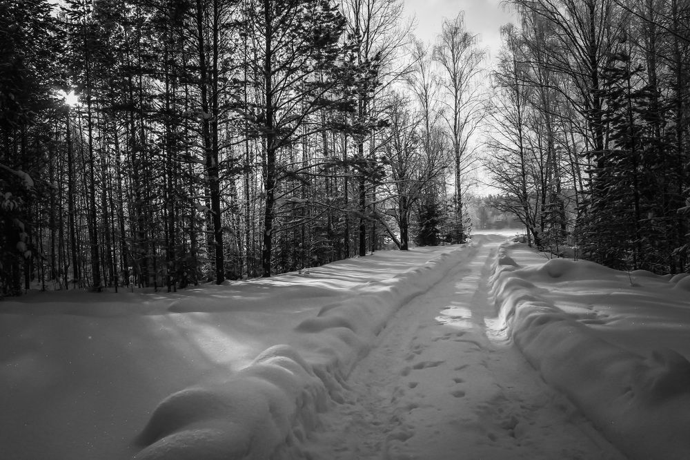 Photograph by Матвей Короткин