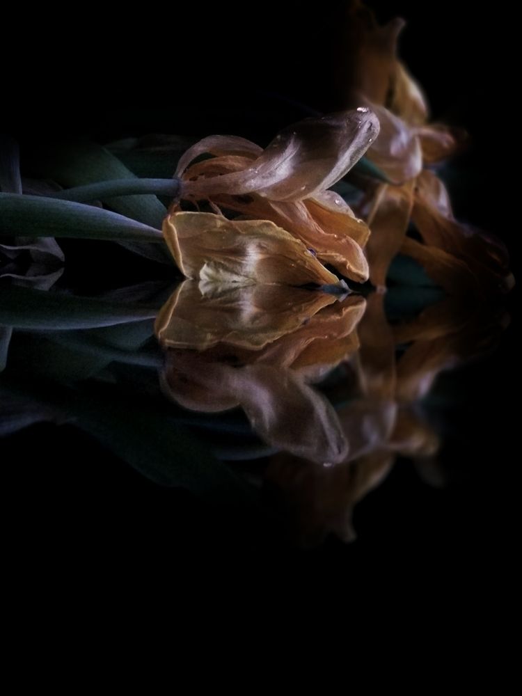 Photograph by Екатерина Радюкевич